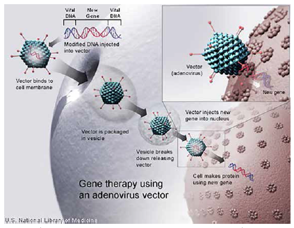 PV0915_TherapyGene