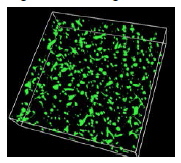 pv1117_microfluidicchips