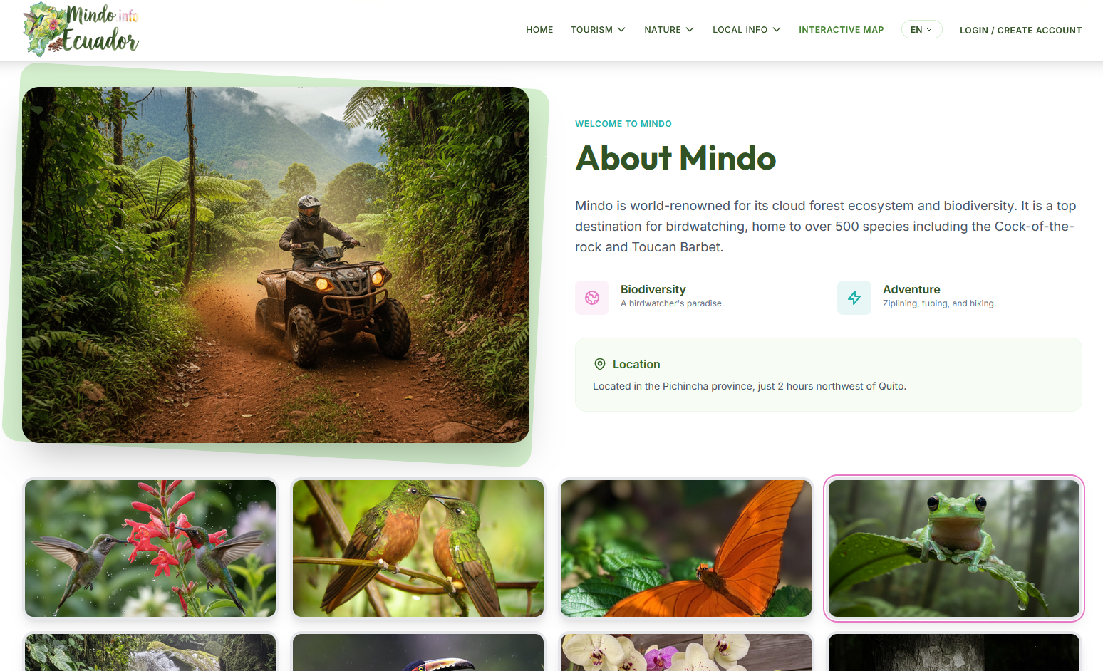 Homepage Area 2