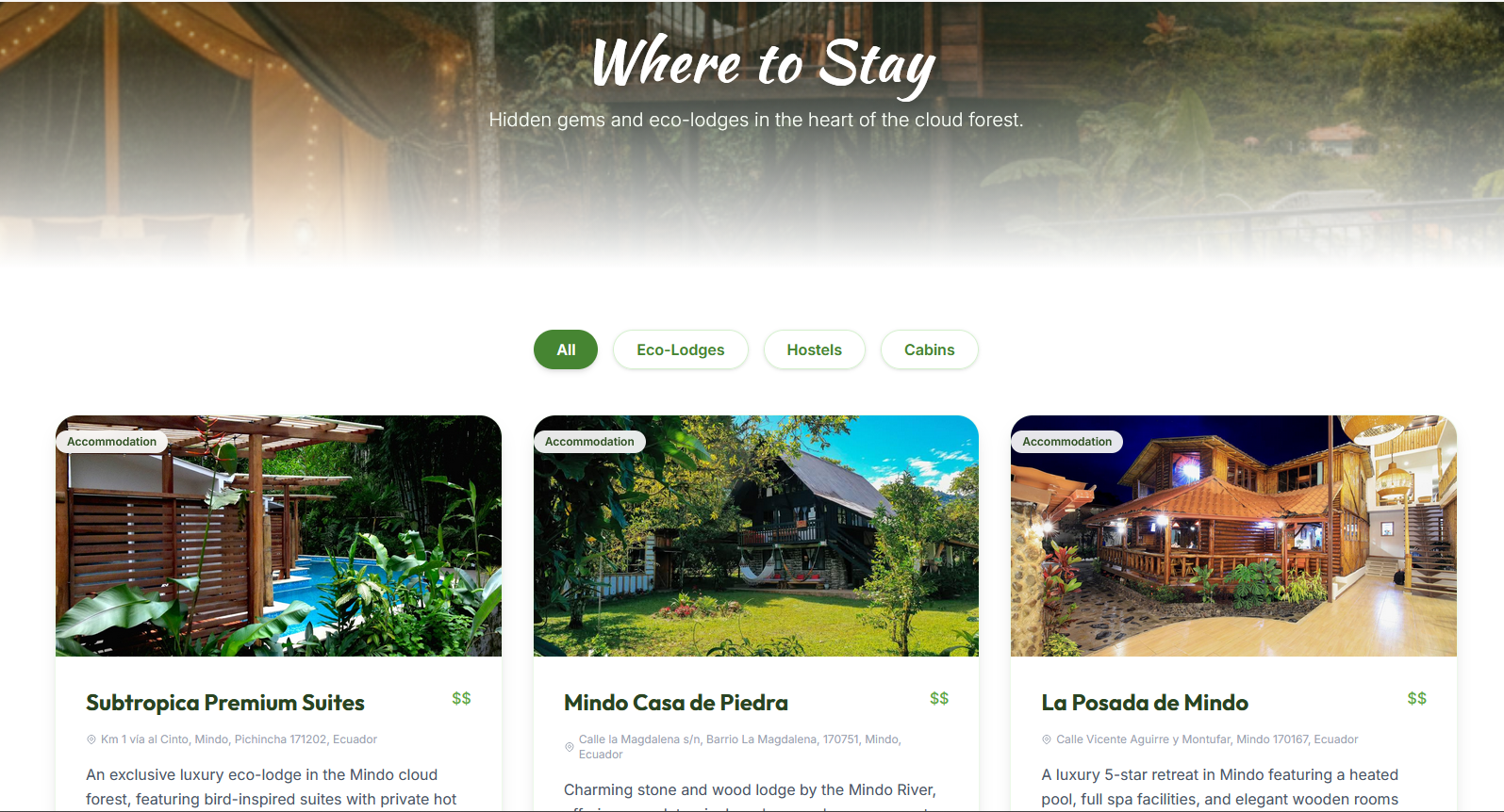 Where to Stay