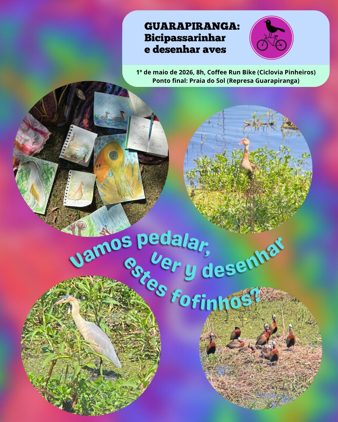 BP 5: Guarapiranga desenhar pássaros