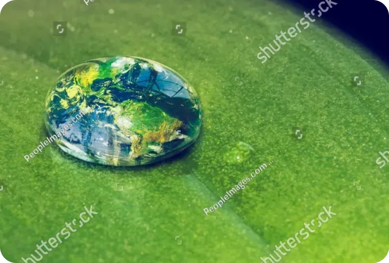 綠葉上的水珠，水珠中映出地球的樣貌