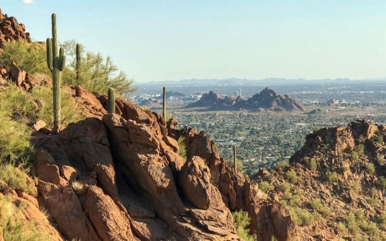 A view from the top of the mountain with some cactus plants
