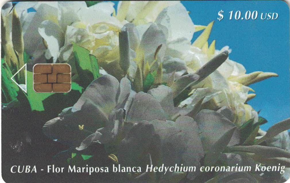 Coin Flor Mariposa blanca Hedychium coronarium Koenig-Flowers-Etecsa Cuba undefined