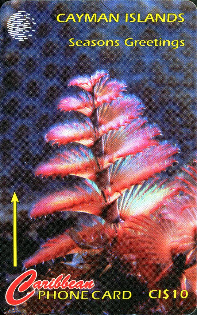 Coin Xmas Tree Worm-GPT Cards-Cable Wireless Ilhas Cayman undefined