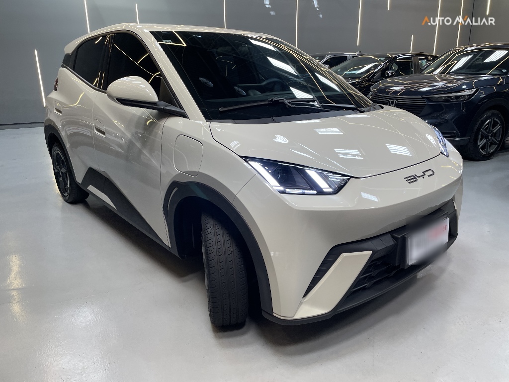 BYD DOLPHIN MINI 38 KW EL&Eacute;TRICO