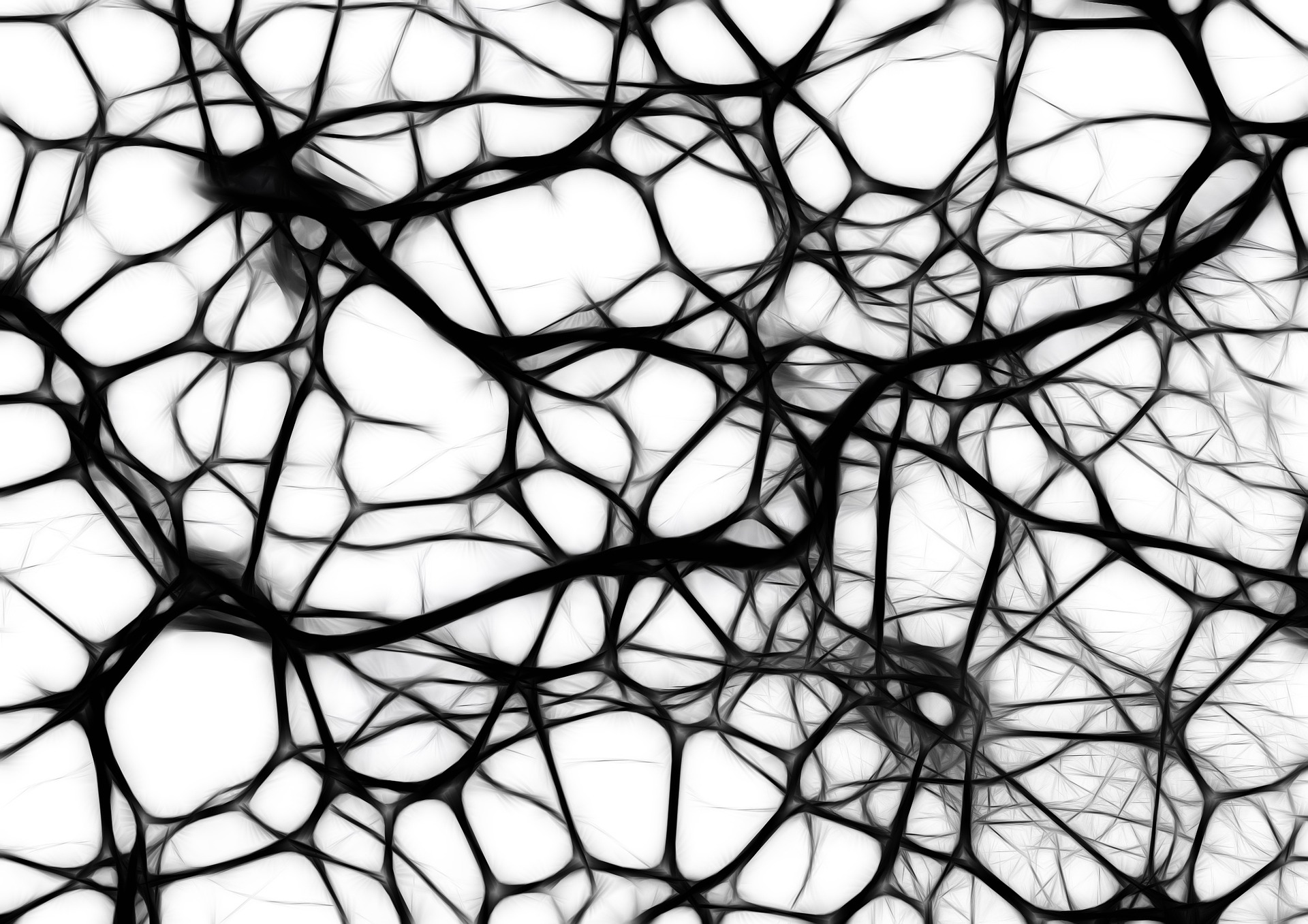 memory neurons
