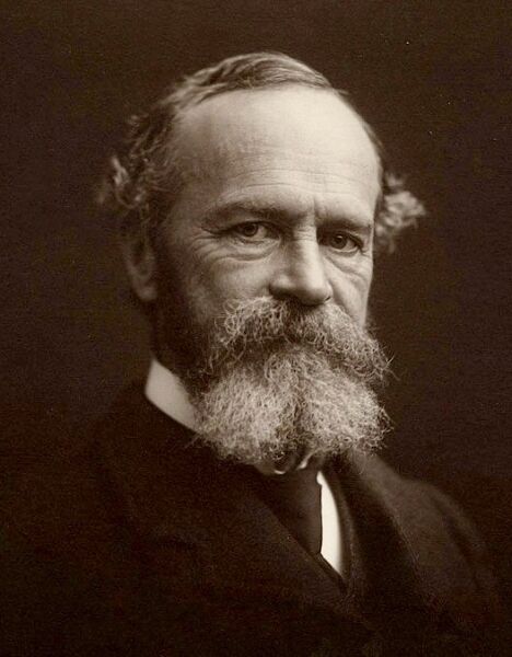 William James quote