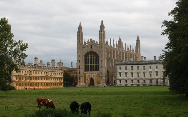 Cambridge: Kings College Chapel, Cows, and the Cam