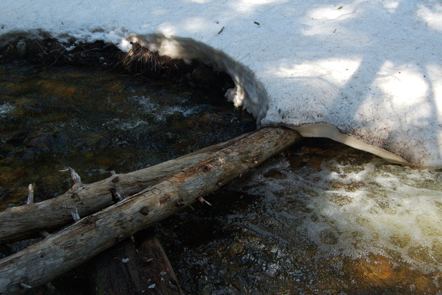 Trail crossing stream below Comache Lake, Comanche Peak Wilderness