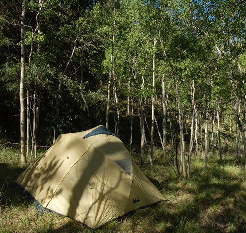 Camp in Refrigerator Gulch, Lost Creek Wilderness