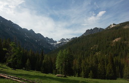 Meadow above Buchanan Creek, Indian Peaks Wilderness