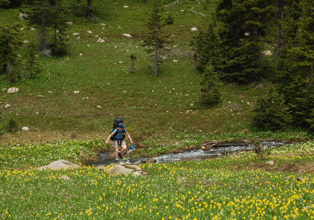 Kiesa crosses Buchanan Creek in Fox Park