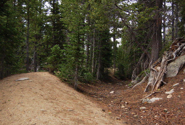 Abandoned Camp Lake ditch, Rawah Wilderness