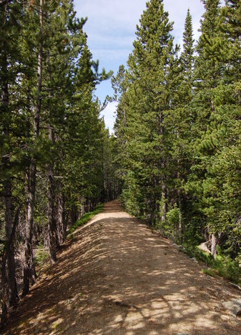 Trail along abandoned Camp Lake ditch, Rawah Wilderness