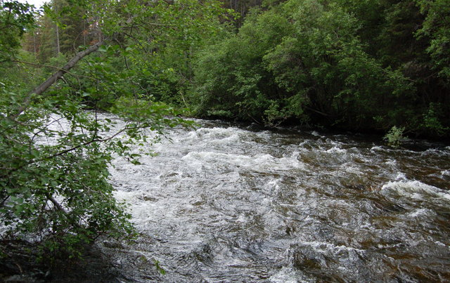 Big South Fork of the Cache la Poudre River