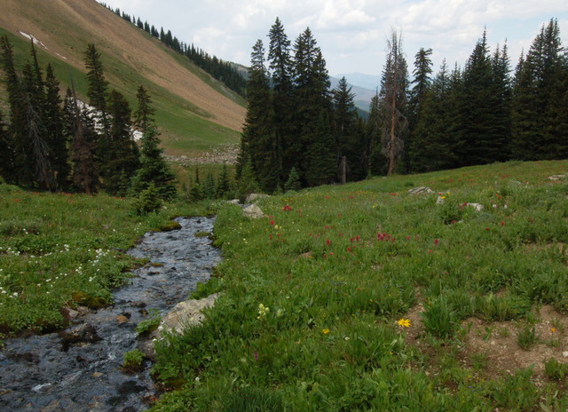 Stream west of Bowen Pass, Never Summer Wilderness