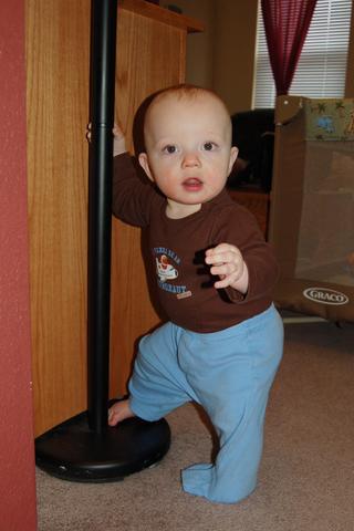 Calvin topples the living room lamp