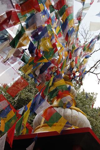 Prayer flags on stupa, Observatory Hill, Darjeeling