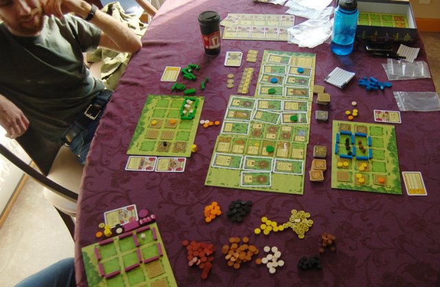 Nemo studies recently-completed game of Agricola