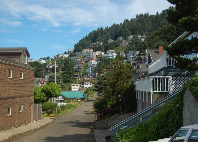 Oceanside looking like a hill station