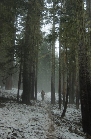 Willy ascends the trail toward Mount St. Helens