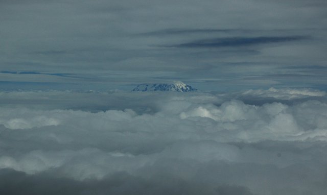 Mount Rainier from Mount St. Helens