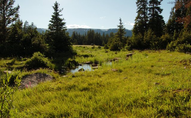 Henrys Fork Basin near Dollar Lake