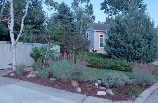 Front yard landscaping