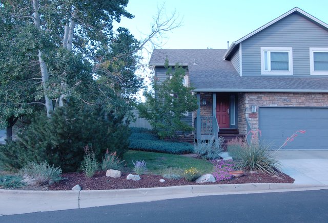 Front yard landscaping