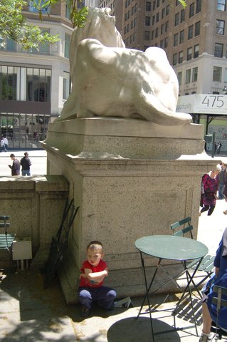 Calvin hides behind the New York Public Library lions