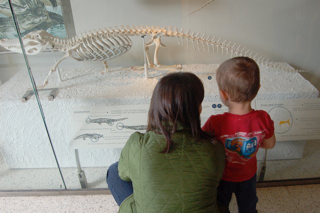 Calvin and Aunt Bethany look at a fossil in the American Museum of Natural History