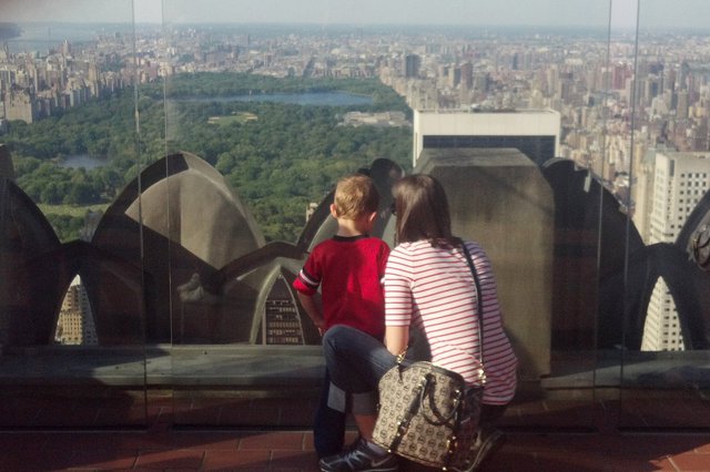 Calvin and Aunt Bethany look at Central Park from the Top of the Rock