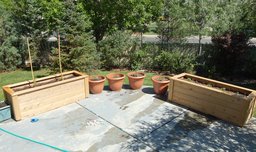 Completed container garden on patio