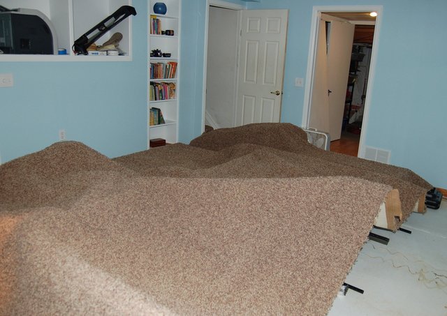 Basement carpet draped for drying