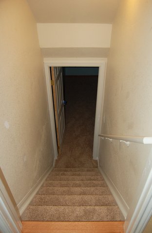 New carpet installed in basement stairs