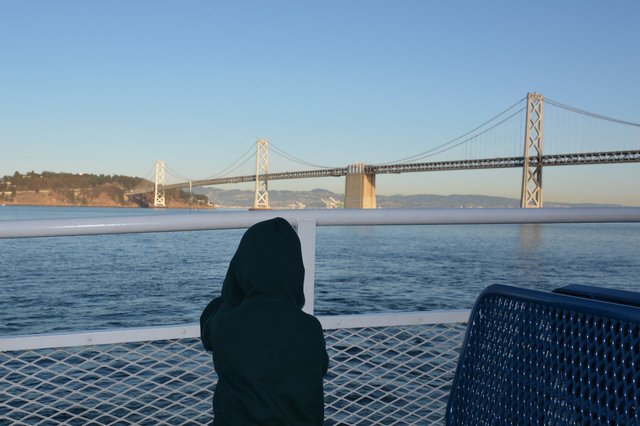 Calvin looks at the Bay Bridge from the ferry