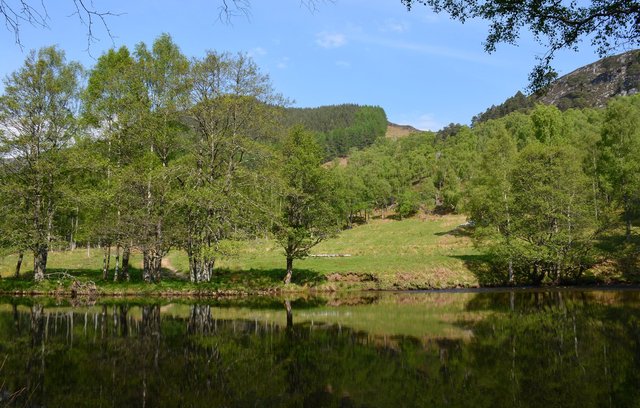 River Cannich