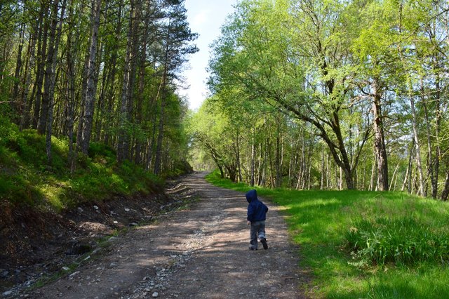 Calvin hikes in Scotland