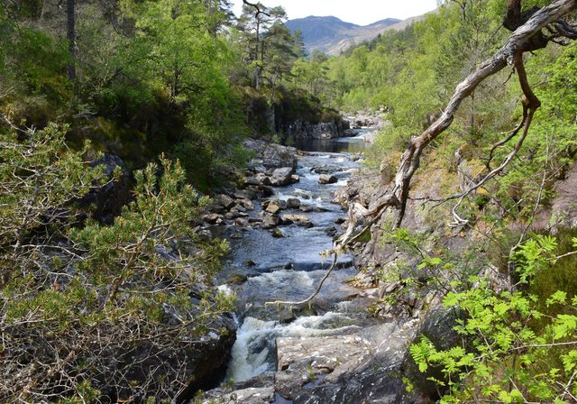 The River Affric