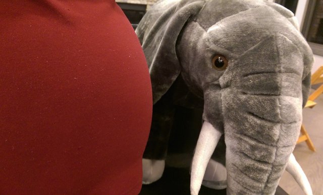 Version 2.1 with a maurading plush elephant