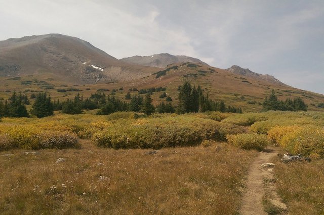 Mount Massive and trail from treeline