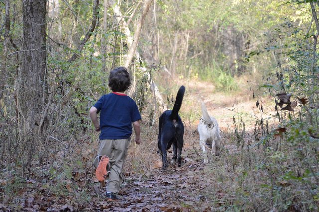 Calvin runs with Banner and Oreo