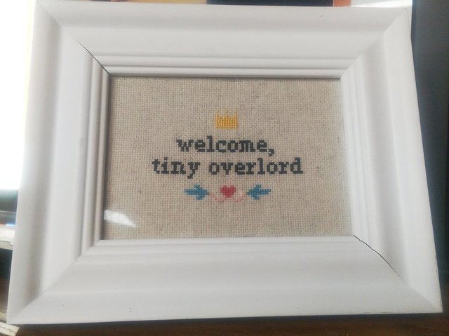 Welcome tiny overlord