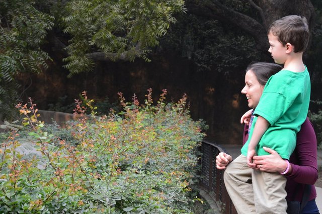 Aunt Bethany and Calvin at National Zoological Gardens, Delhi