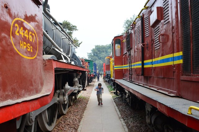 Calvin runs ahead of Aunt Bethany through the trains at the National Railway Museum in Delhi