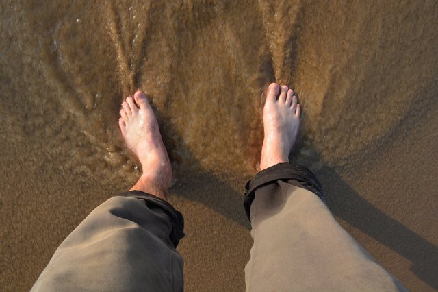Jaeger's feet in the Arabian Sea