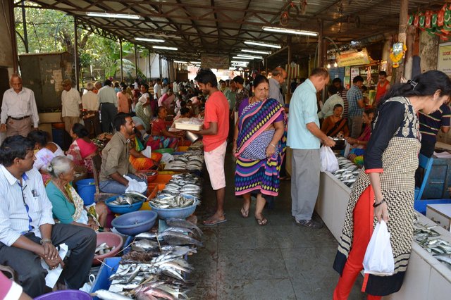 Fish market in Goa