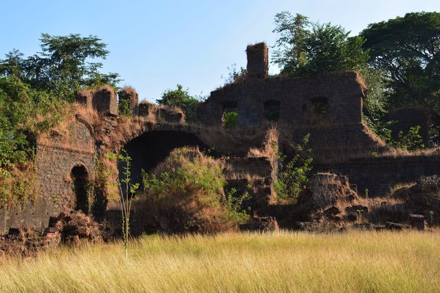 Overgrown ruins at the Church of Saint Augustine