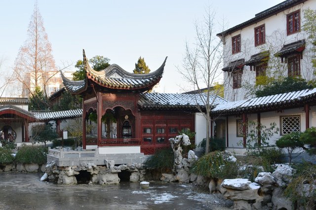 Pond at Zhanyuan Park